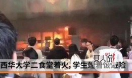 西华大学爆料事件最新消息,最新进展及影响揭秘